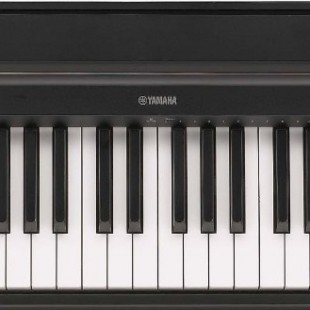 Yamaha P-35B